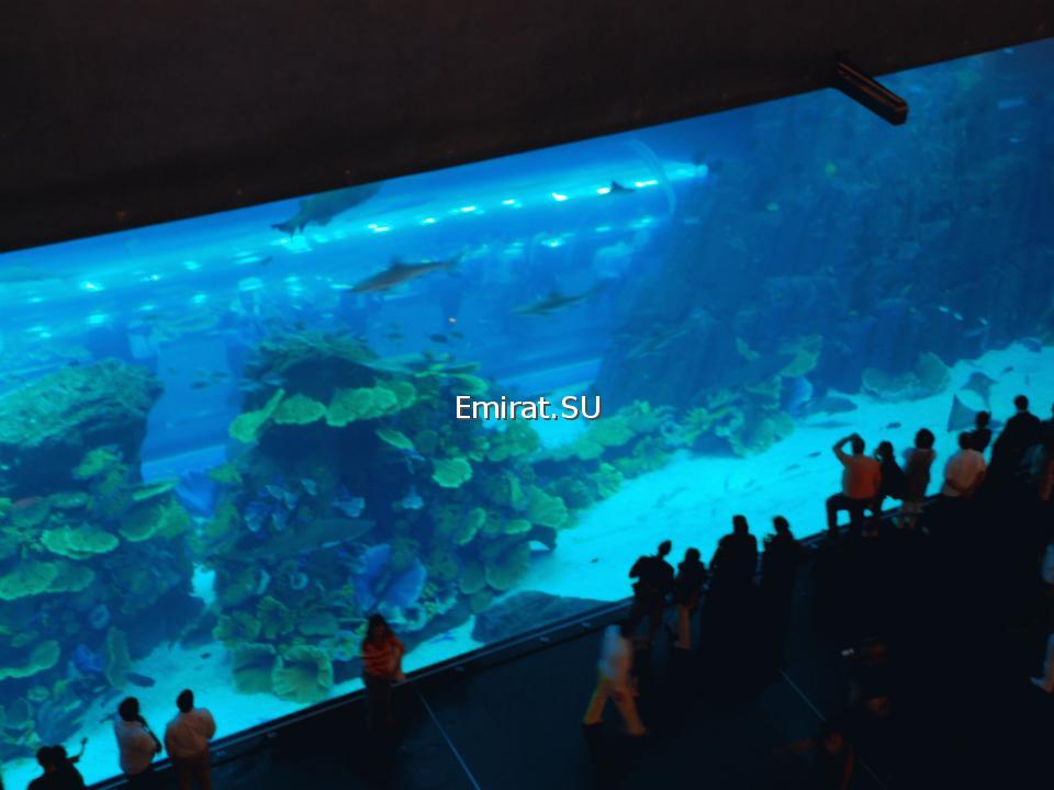 Dubai Aquarium - Дубайский аквариум